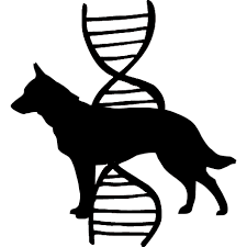 Canine (K) Dog Genetics - 01