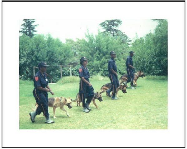 Post 02 - K9 Dog Handler Teams